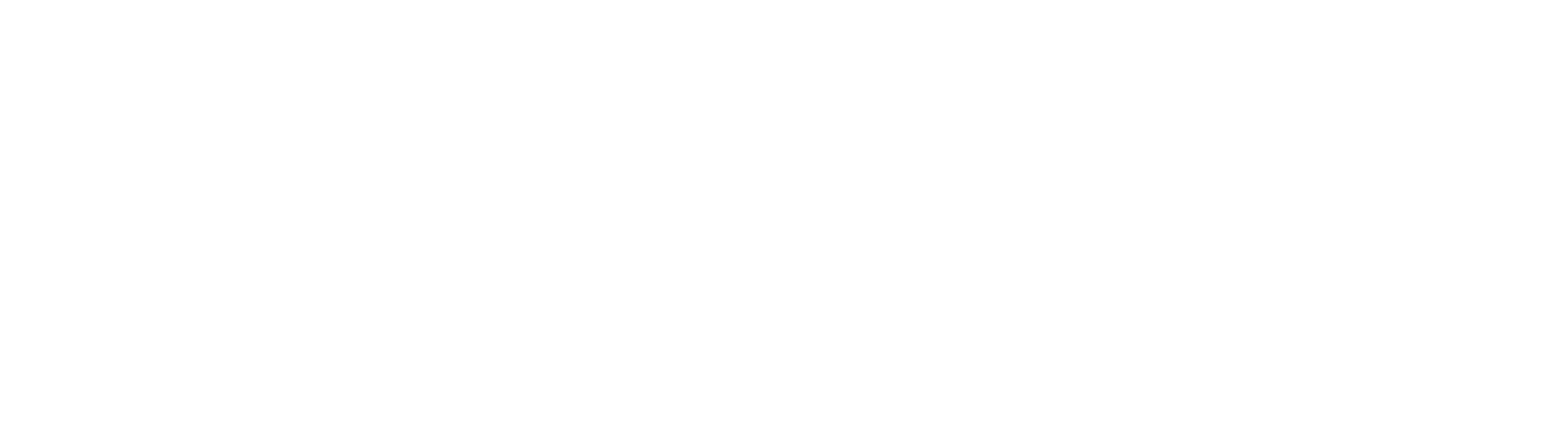 Logo blanco Baroclinic